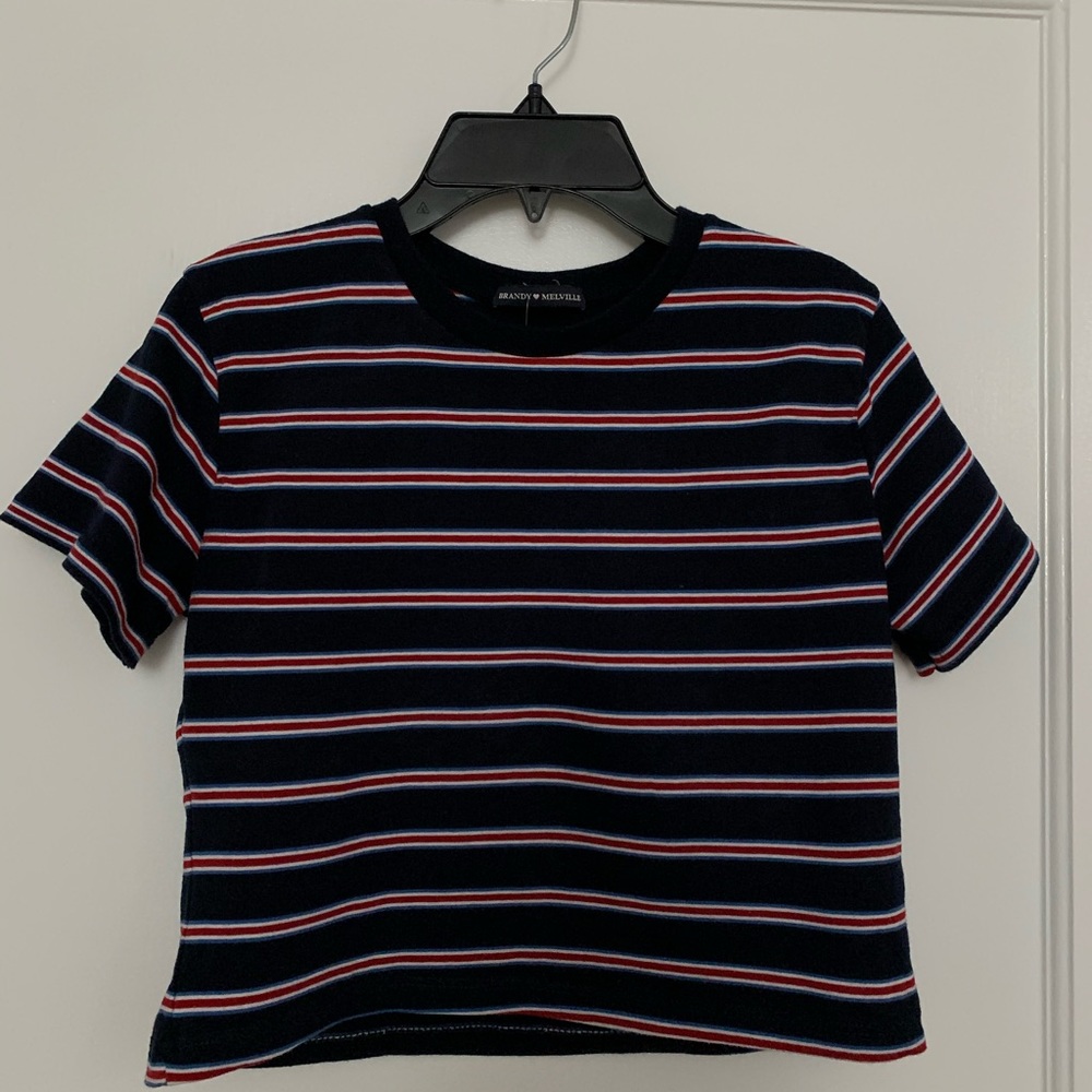 Striped Brandy Melville Crop